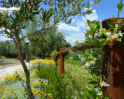 recinzione-cortensafe-passeggiata-panoramica-Lago-di-Garda-Sirmione-Brescia-5