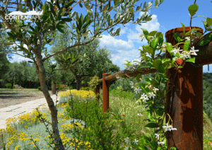 recinzione-cortensafe-passeggiata-panoramica-Lago-di-Garda-Sirmione-Brescia-5
