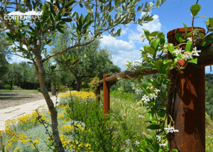 recinzione-cortensafe-passeggiata-panoramica-Lago-di-Garda-Sirmione-Brescia-5