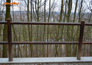 Soluzioni in acciaio corten di CortenSafe per il politecnico di Monaco di Baviera - sede di Freising - Germania - 14