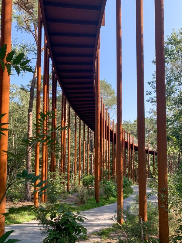Pedalare-tra-le-cime-degli-alberi-grazie-a-449-colonne-in-acciaio-corten-5 Pedalare tra le cime degli alberi grazie anche a una particolare struttura composta da 449 colonne in acciaio corten - 5