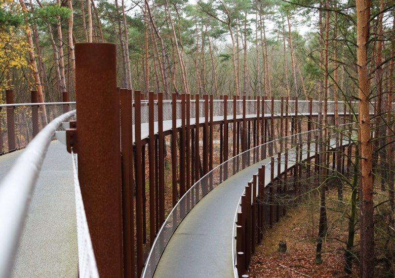 Radeln durch die Bäume auch durch eine besondere Konstruktion die aus 449 Cortenstahlsäulen besteht - 1