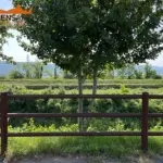 Staccionata Brunico H3C e parapetto Falcade HO3 per percorso ciclopedonale di Montecchio Maggiore.